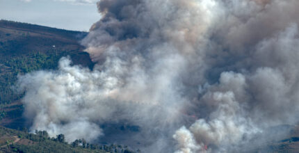 Incendi boschivi in Spagna e Francia
