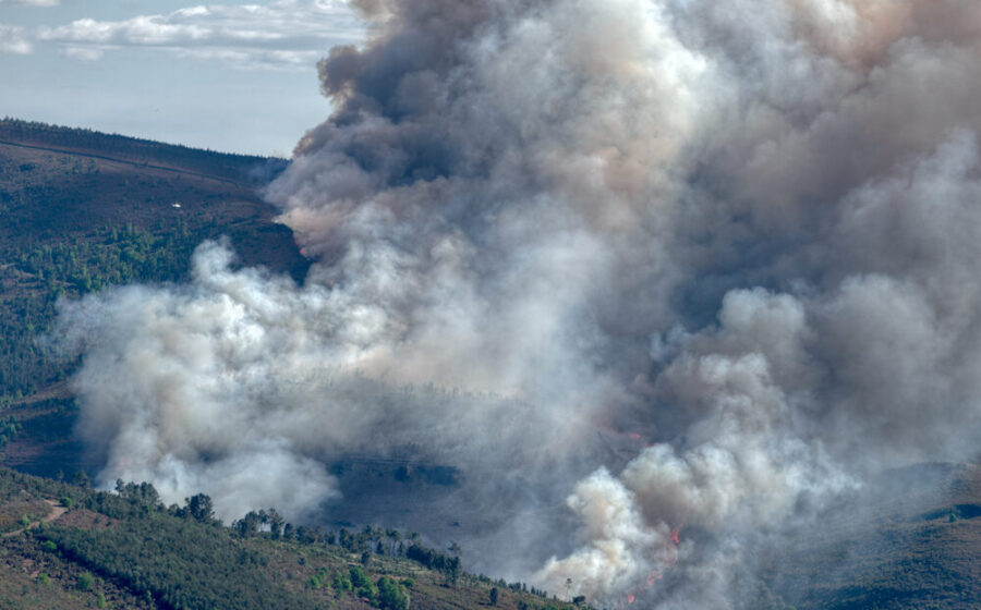 Incendi boschivi in Spagna e Francia