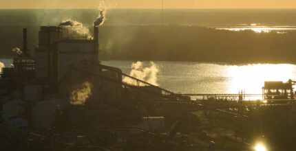 Immagine di oli esausti