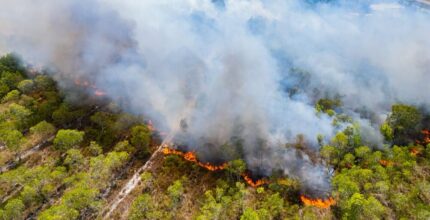 Incendi boschivi in Italia