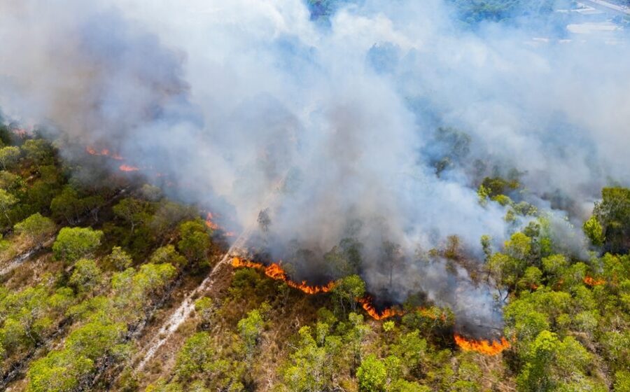 Incendi boschivi in Italia