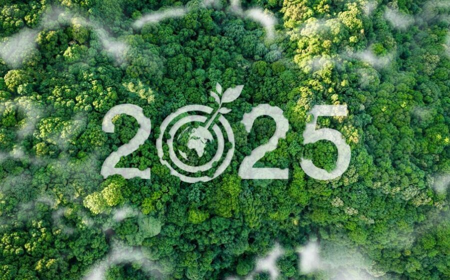 Bilancio di Sostenibilità 2025 di Engineering