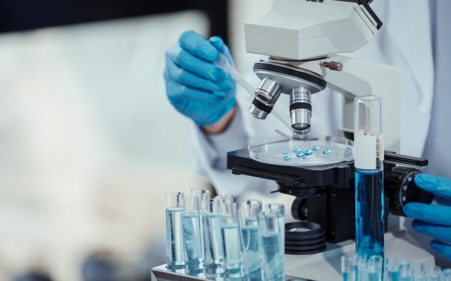 Modelli di tessuto tumorale per la ricerca sul cancro