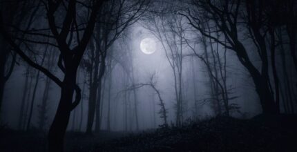 Silent Hill: Townfall - Immersione e stealth nel nuovo capitolo della saga