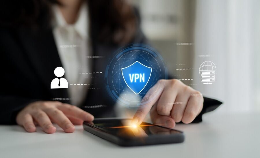 Manifestazione per la difesa delle VPN