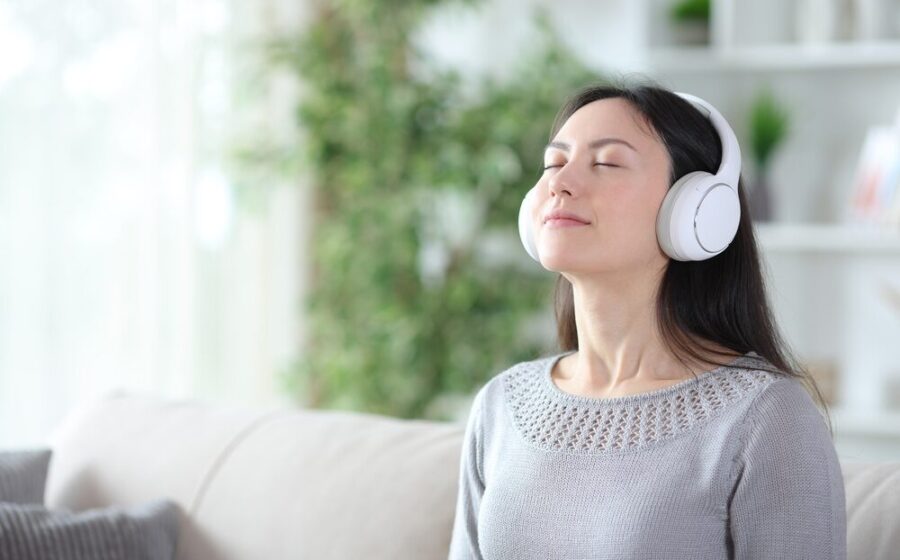 Cuffie Anker Soundcore Q20i